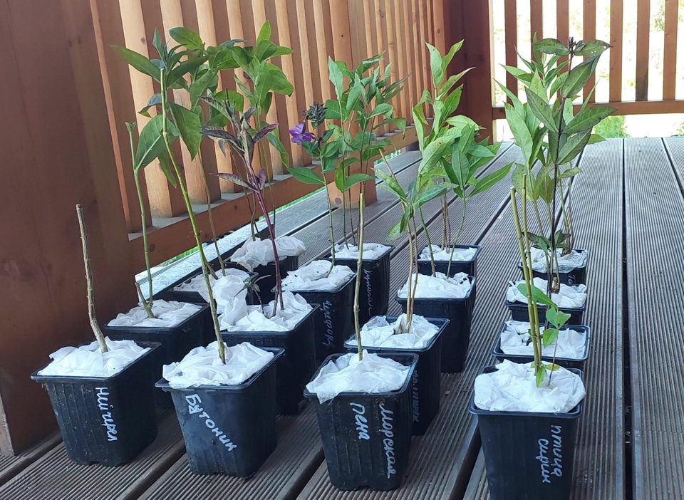 Пример упаковки